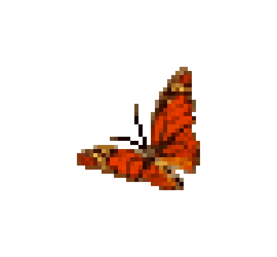 butterfly.png