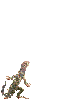 gecko.gif