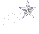 lilstar.gif