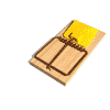 mousetraptransparent.gif