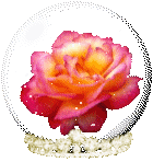 rose.gif